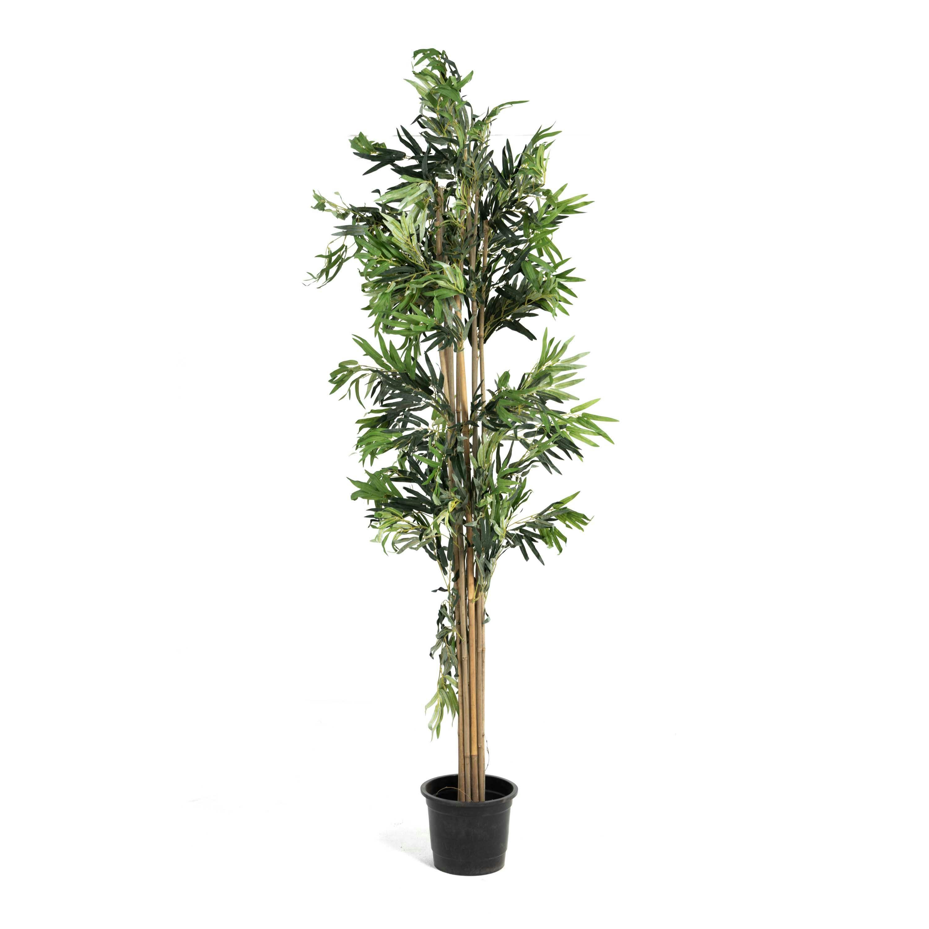 Bamboo Tree 0