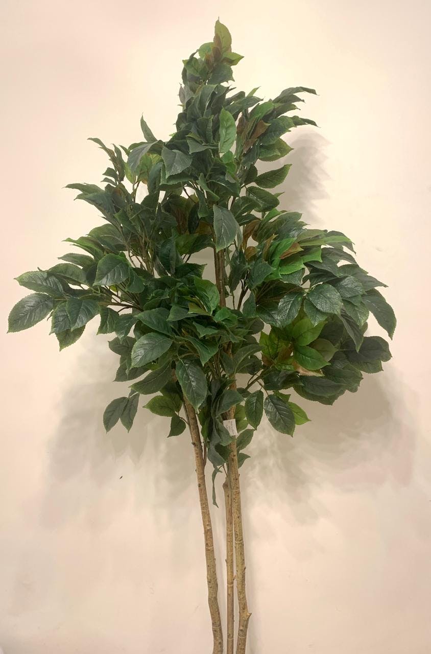 Artificial Benjamina Tree - Big Leaf 0