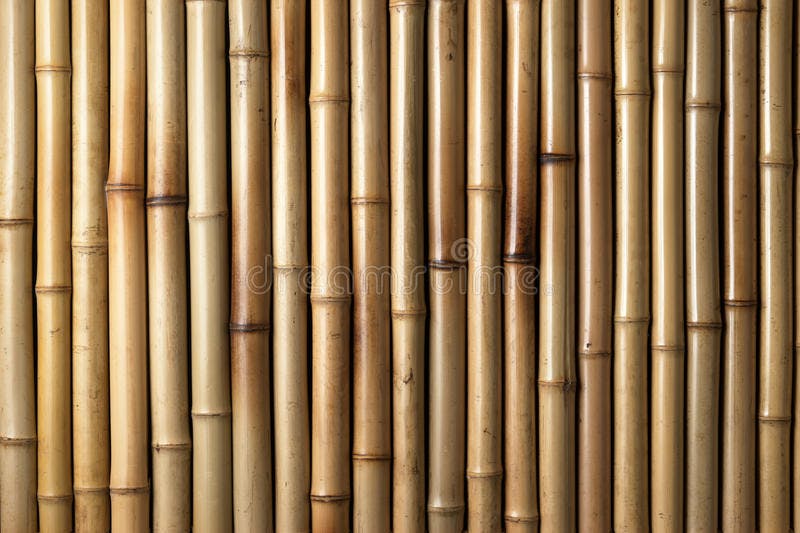 Bamboo 0