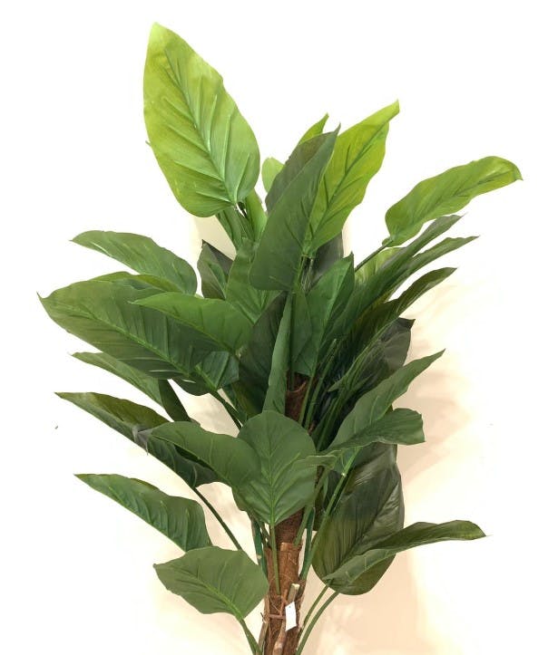 نبات البوتس الصناعي ( 160 سم ) 0