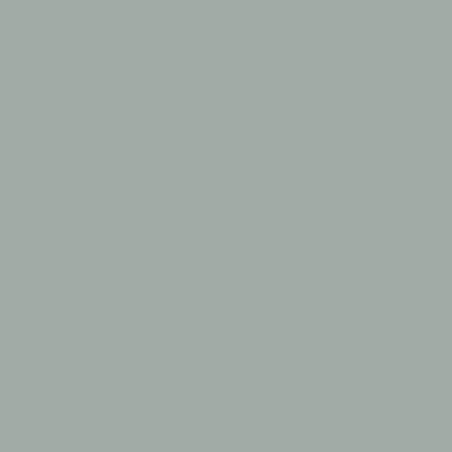6387 Iconic Paint (Muted Mint) 0
